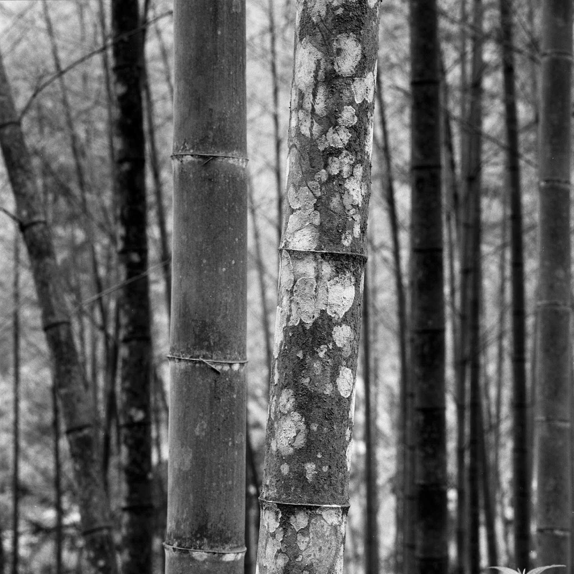 Abiding: Landscape of the Soul・洋書・写真集 Photography - Magnifissance