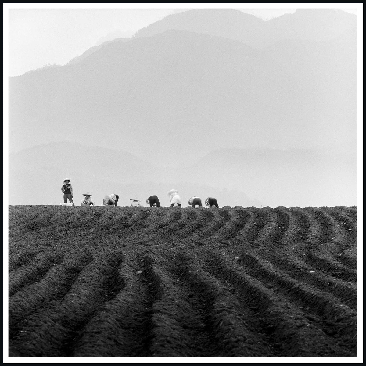 Spirit, Tranquility, and Landscape 33