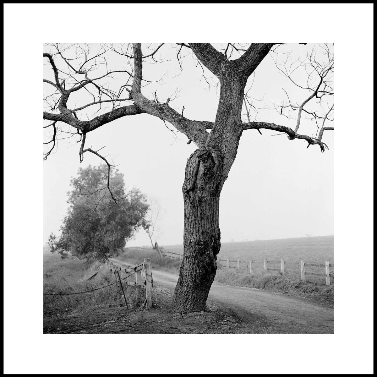 Spirit, Tranquility, and Landscape 36