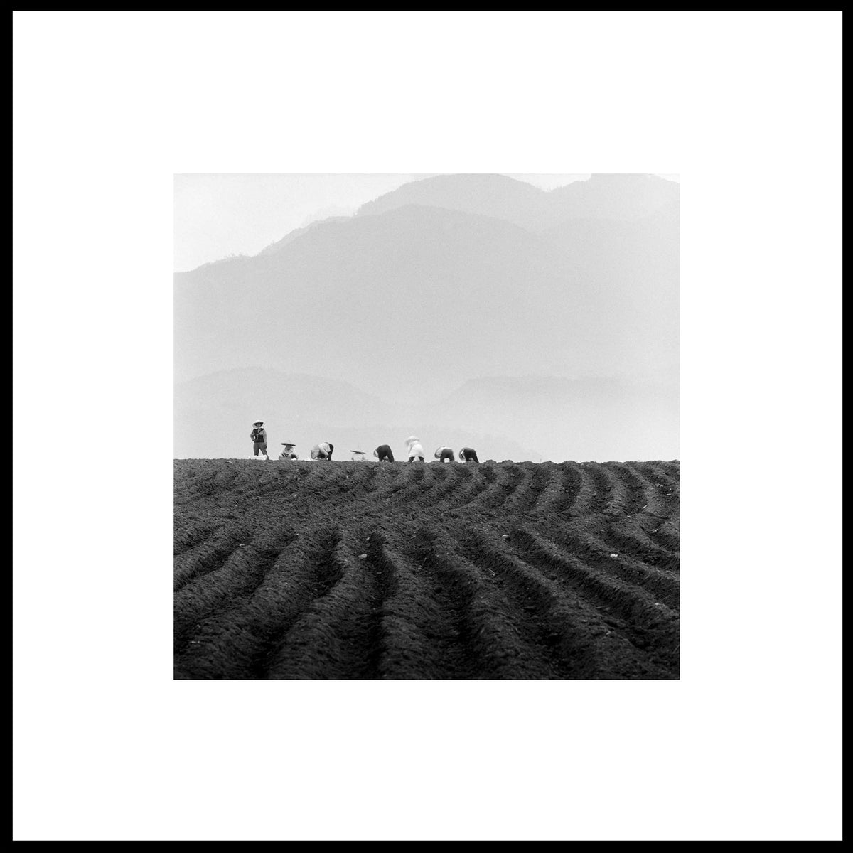 Spirit, Tranquility, and Landscape 33