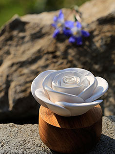 eastern-aesthete-pick