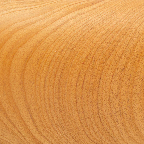Gold Cypress
