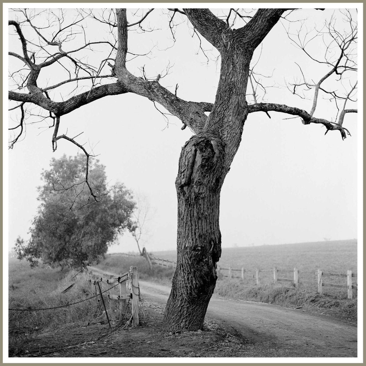 Spirit, Tranquility, and Landscape 36