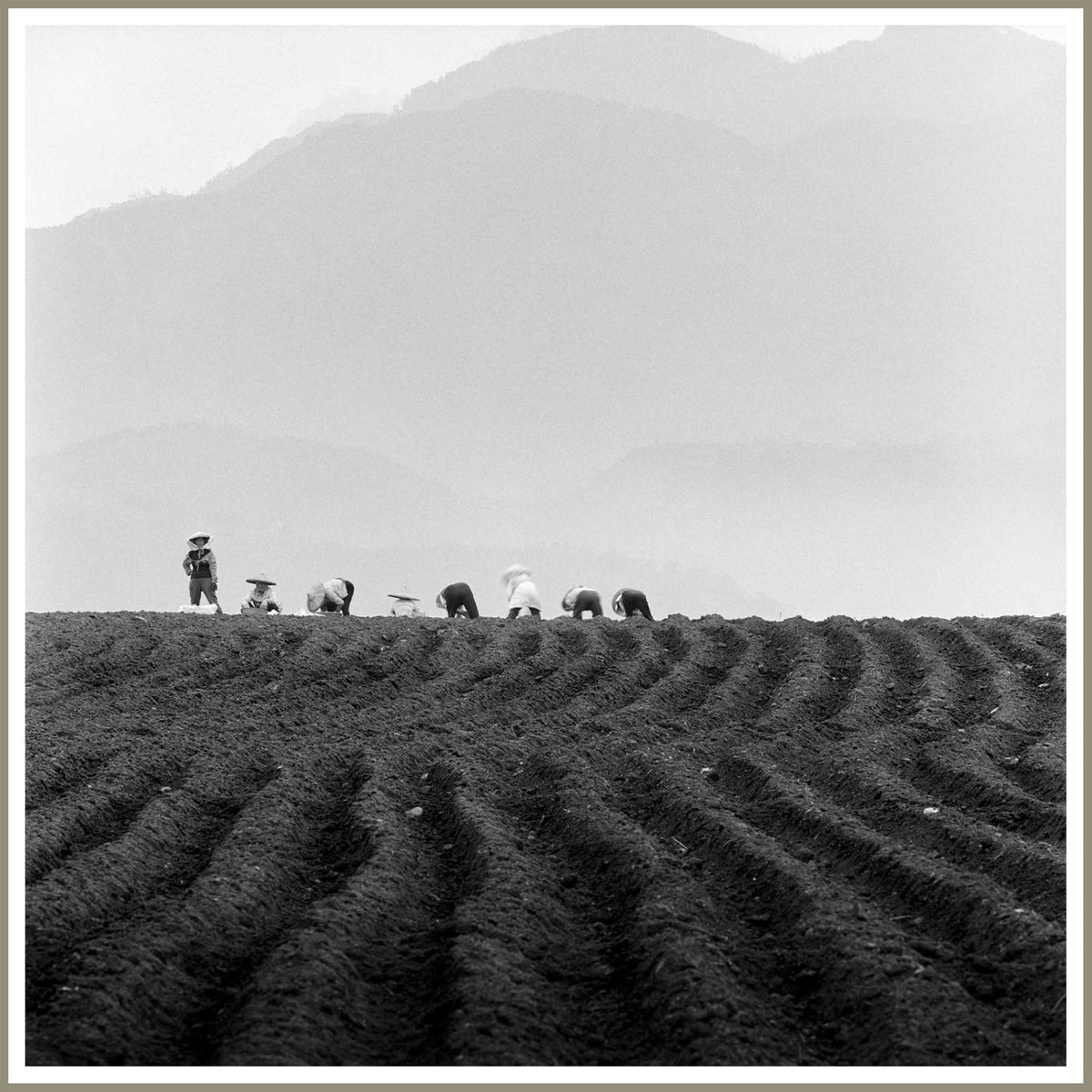 Spirit, Tranquility, and Landscape 33