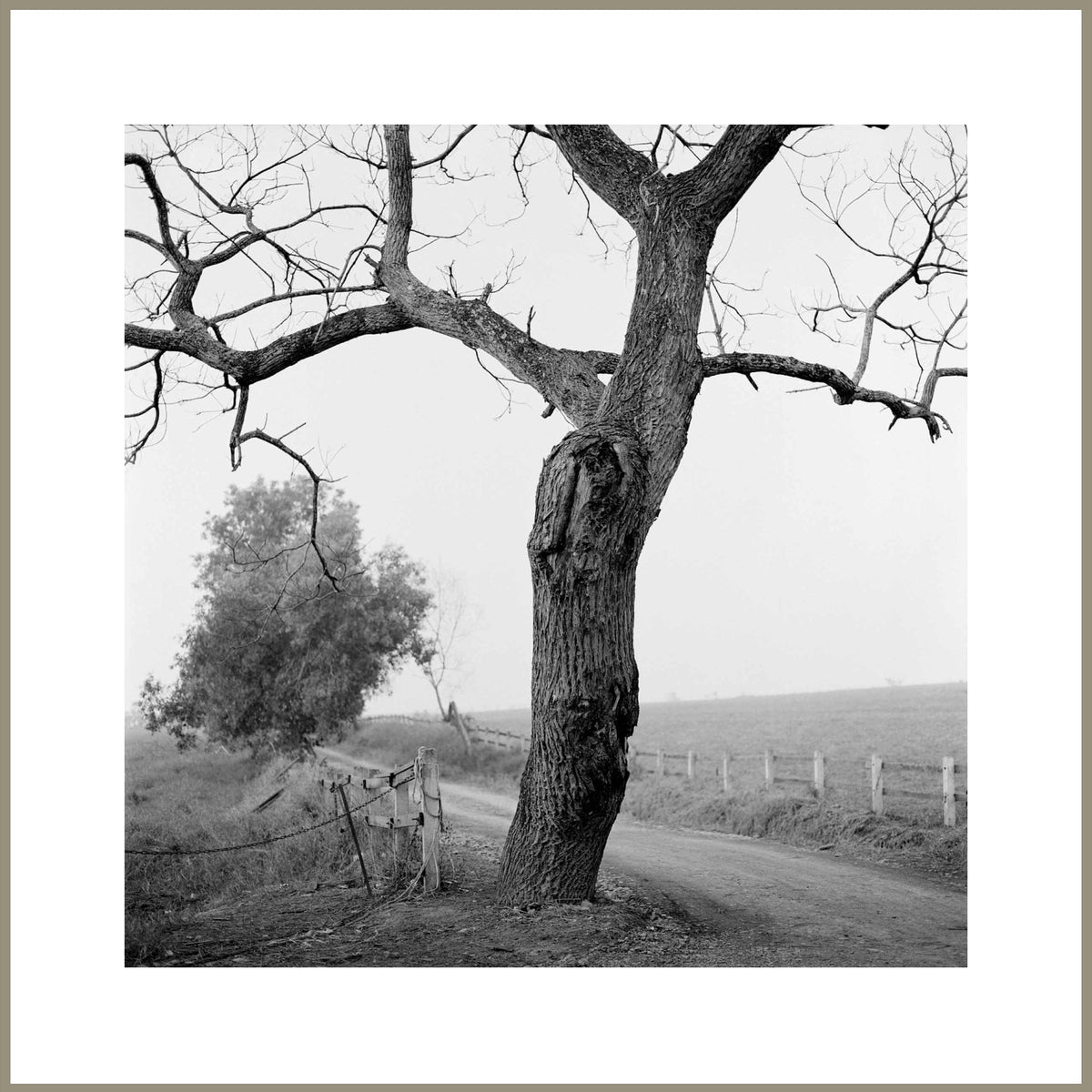 Spirit, Tranquility, and Landscape 36