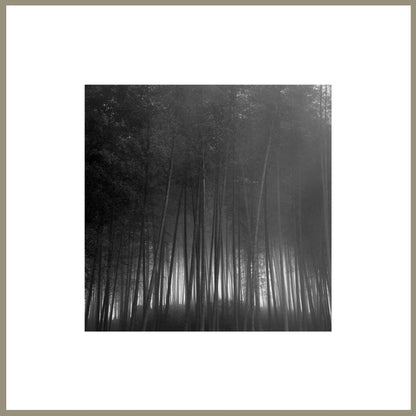 Consciousness Without Preconceptions 20