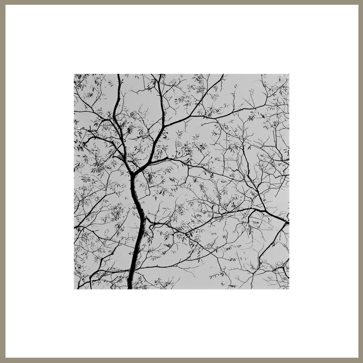 Spirit, Tranquility, and Landscape 38