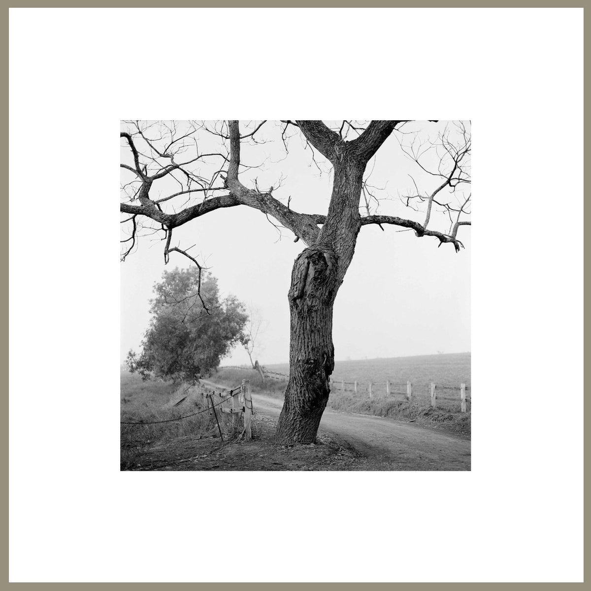 Spirit, Tranquility, and Landscape 36