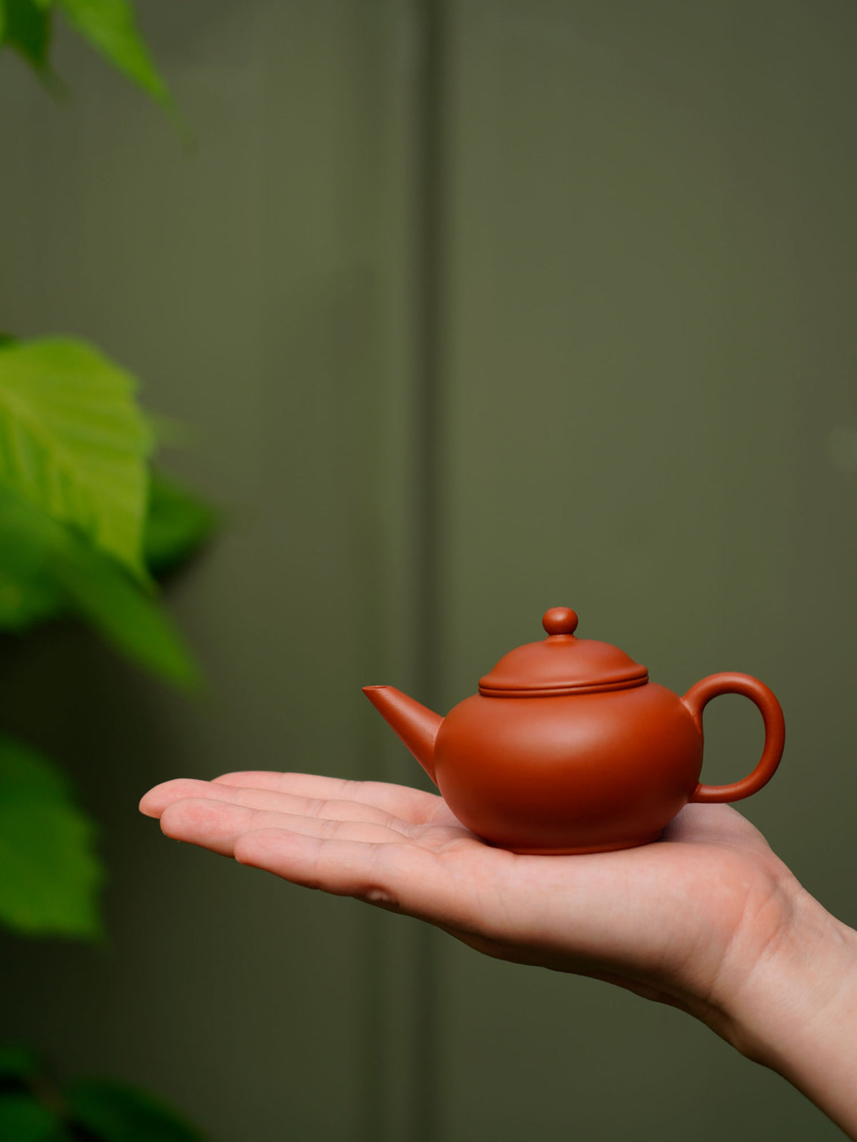 Shui Ping Zhu Clay Zisha Teapot 1