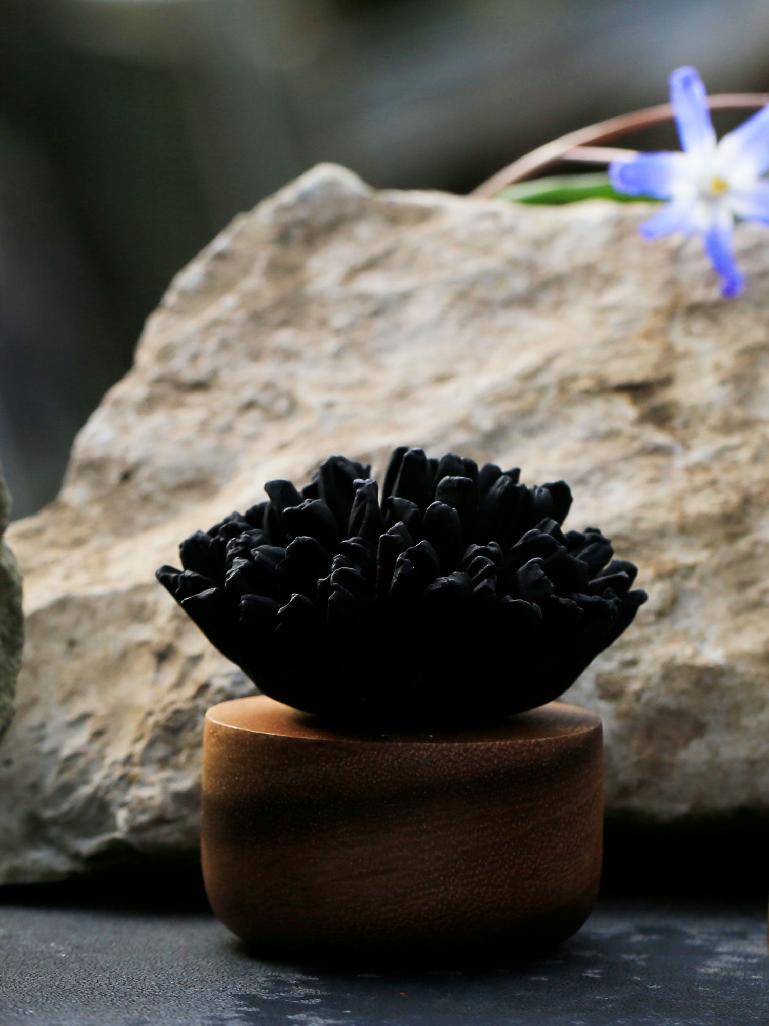 Coral Flower Ceramic and Wood Diffuser 3