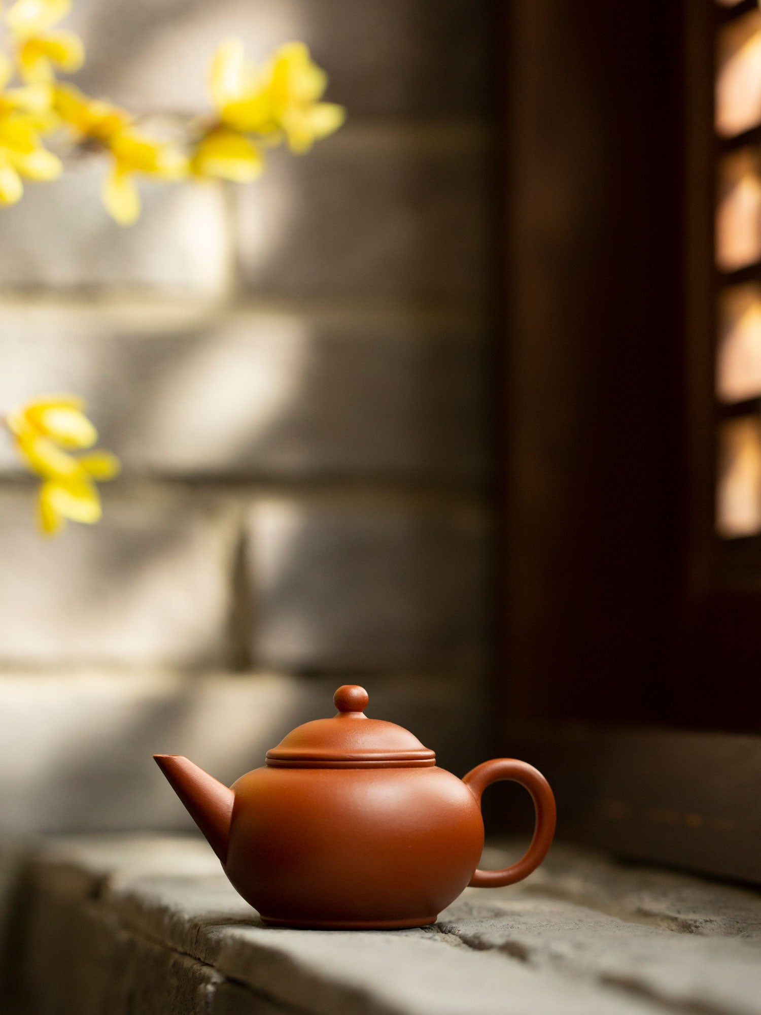 Shui Ping Zhu Clay Zisha Teapot 2