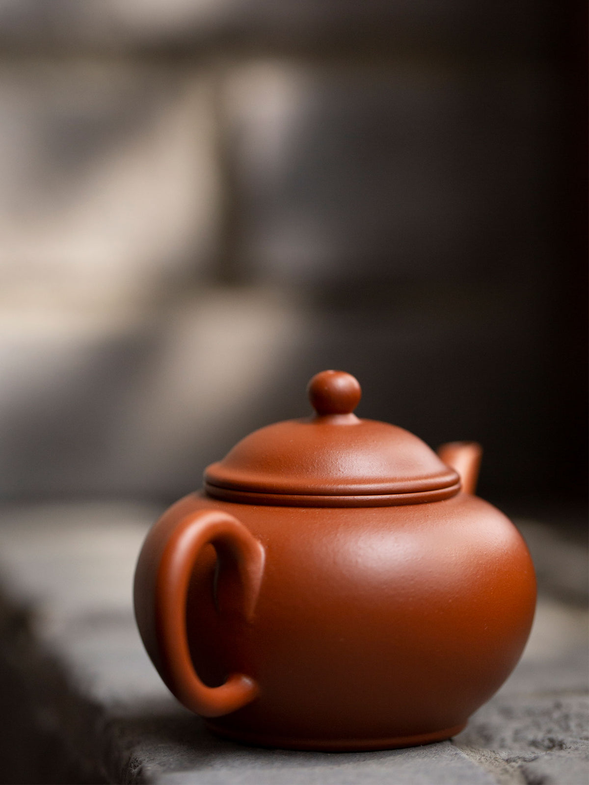 Shui Ping Zhu Clay Zisha Teapot 3